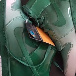 Nike Dunk Supreme Destroyer size 11 or 12