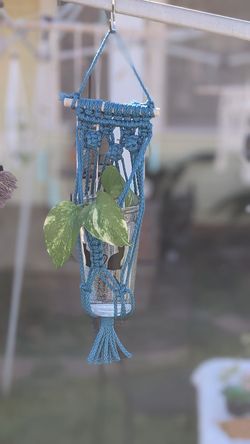 Macrame wall hang plant holder