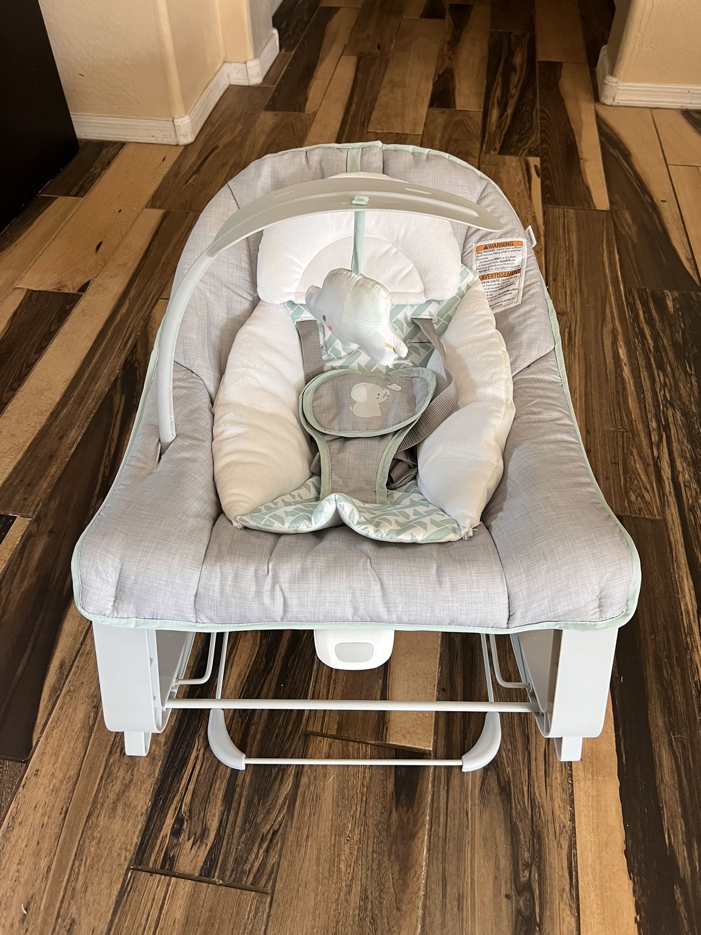 Ingenuity Baby Bouncer
