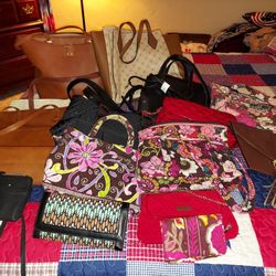 Purse Lot