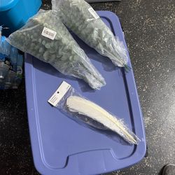 Feathers And Plants Fake $3 For All