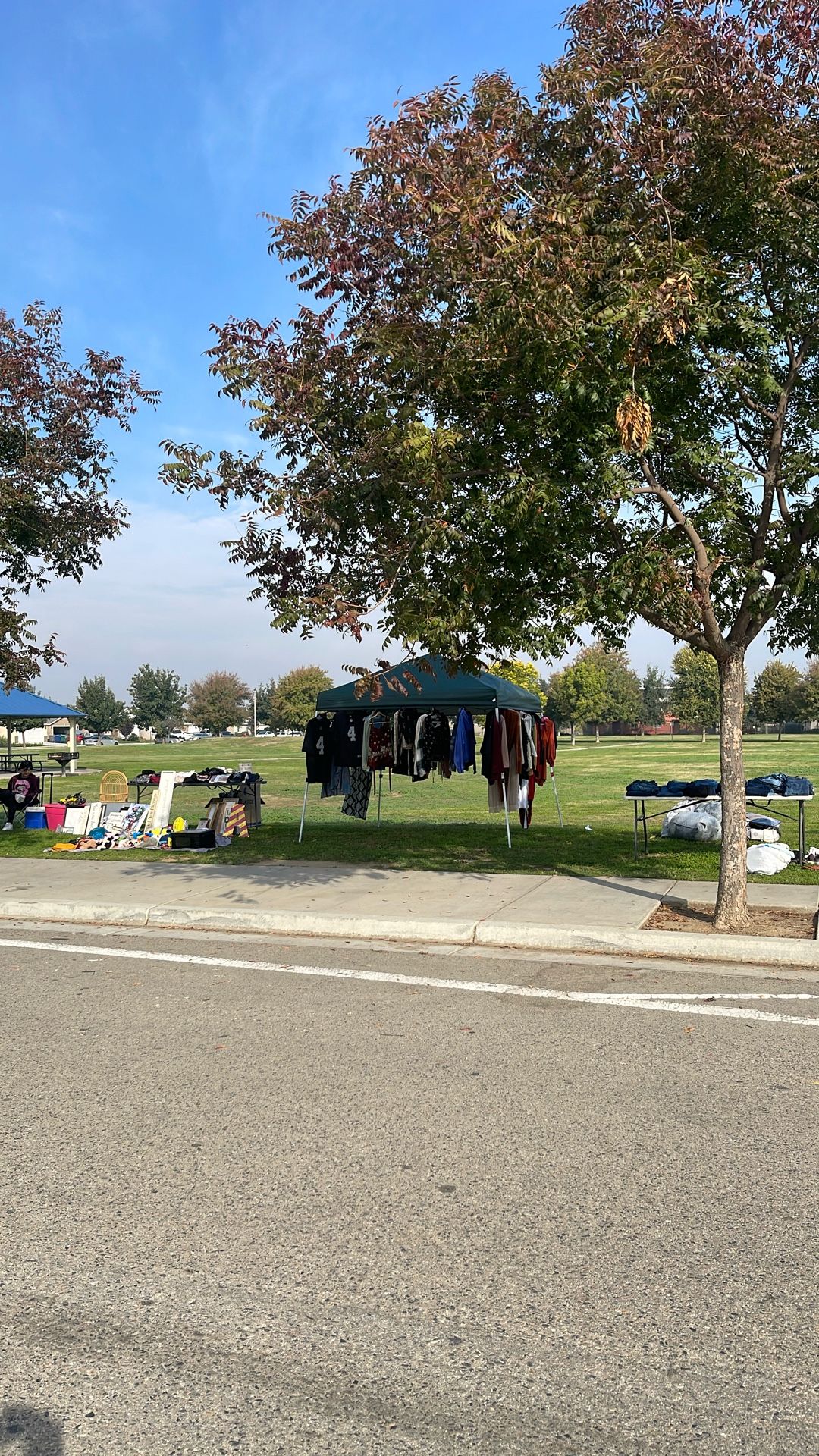 Goshen Yardsale At The Park