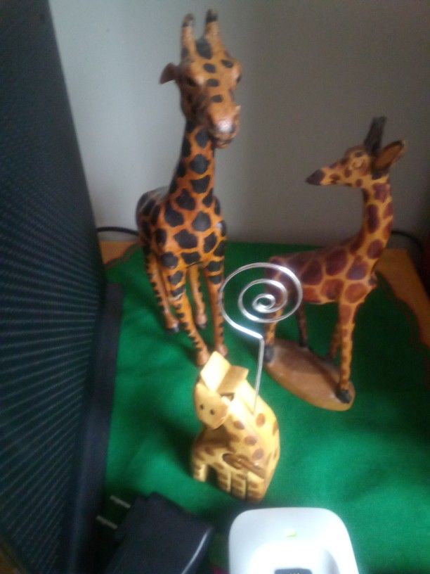 🦒 Giraffe Collection