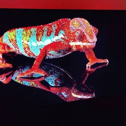 55" Vizio M558-G1 4K TV