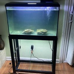 Pecera Negra 20 Galones De Agua 