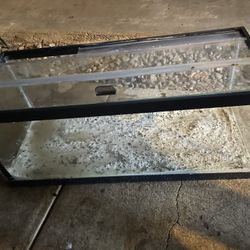 Aquarium (20 Gallon)