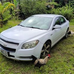 2010 Chevrolet Malibu