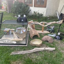 Reptile Set Up