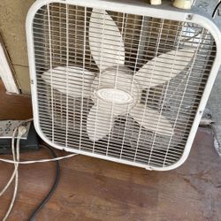 Fan