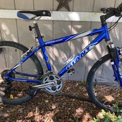 Giant Hardtail 