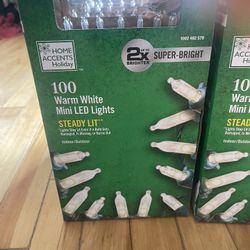 Home Accents Holiday Christmas Lights