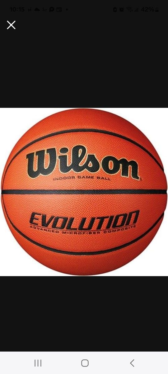 New Wilson Evolution / 29.5 Basketball