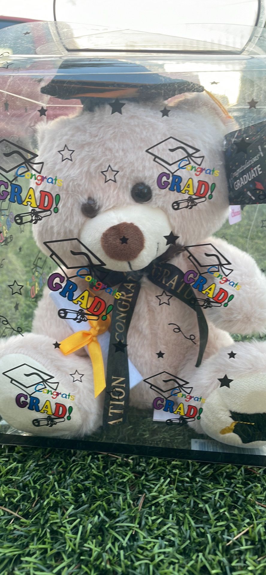 Graduation 👨‍🎓 👩‍🎓 Teddy Bear 
