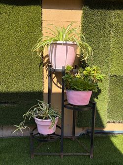 iron plant stand 🌱for only 30 dollars