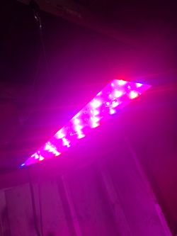 Small plant grow light