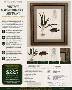Framed Vintage Marine Botanical Art Print