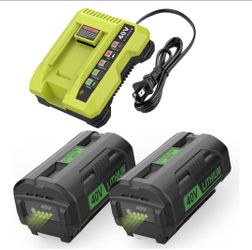 2Packs 6.5Ah and Charger for Ryobi 40V Battery