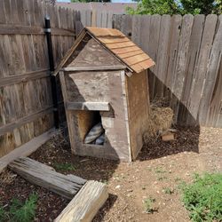 Doghouse And Pavers