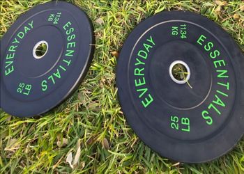 25lb bumper plates gym Equipment