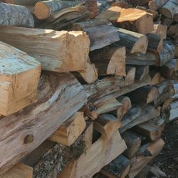 Firewood 