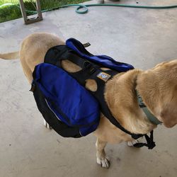 Ruff Wear Dog Back Pack