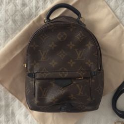 Louis Vuitton Palm Springs Mini Backpack