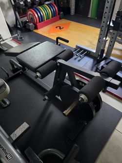 Plate loaded leg extension / hamstring curl