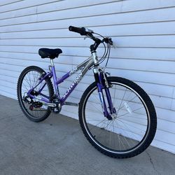 Kids Schwinn Mountain Bike