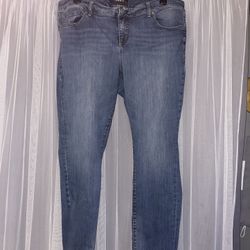 Torrid Jeans
