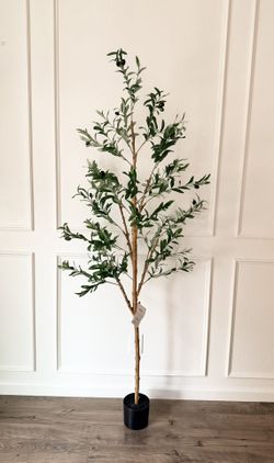 NEW Olive Tree Realistic Branches 6 ft