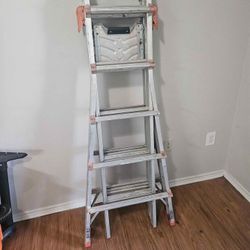 12 Ft Gorilla Ladder $89 Used No Less