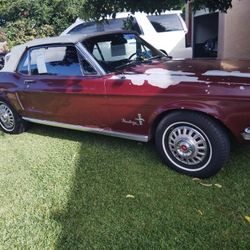 1968 Mustang Convertible 