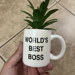 Worlds Best Boss Succulent Cup The Office