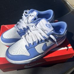 Polar Blue Nike Dunks (Lightly Used)