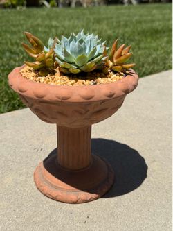 Pedestal succulent planter