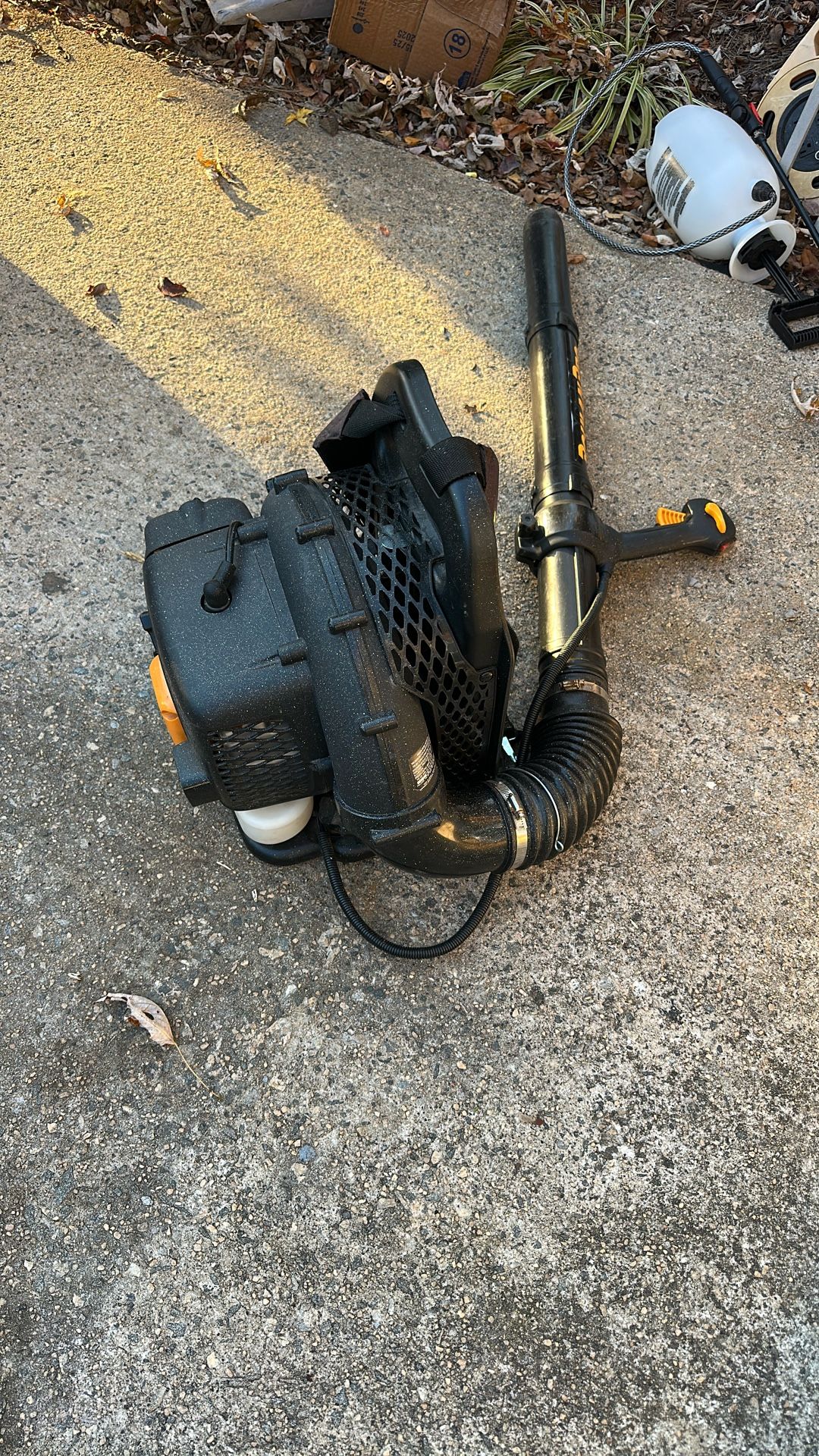 Gas Back Pack Leaf Blower