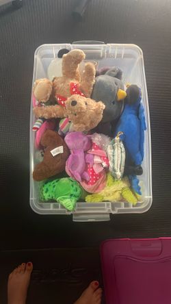 Stuffed Animals 