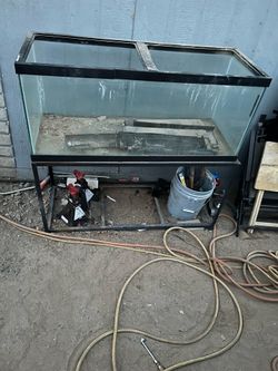100 gallon fish tank