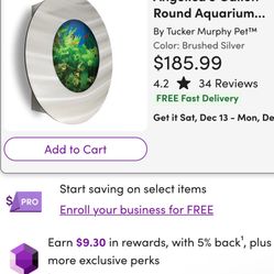 Circular Wall Mount Fish Tank Used 