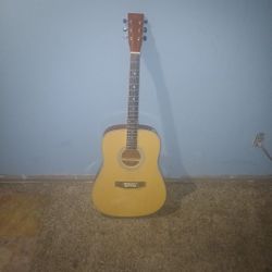 BC Guitar  Tan And Brown