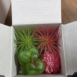 2pk Mini Succulents Magnets