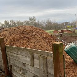 Free Manure For Fertilization Or Gardening  