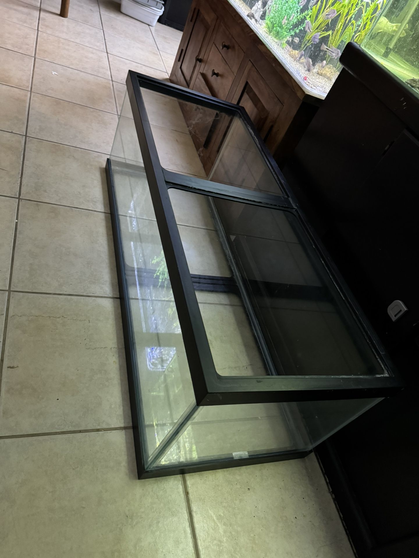 Fish Tank Aquarium 60 Gallon