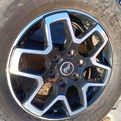 Ford Bronco Stocks