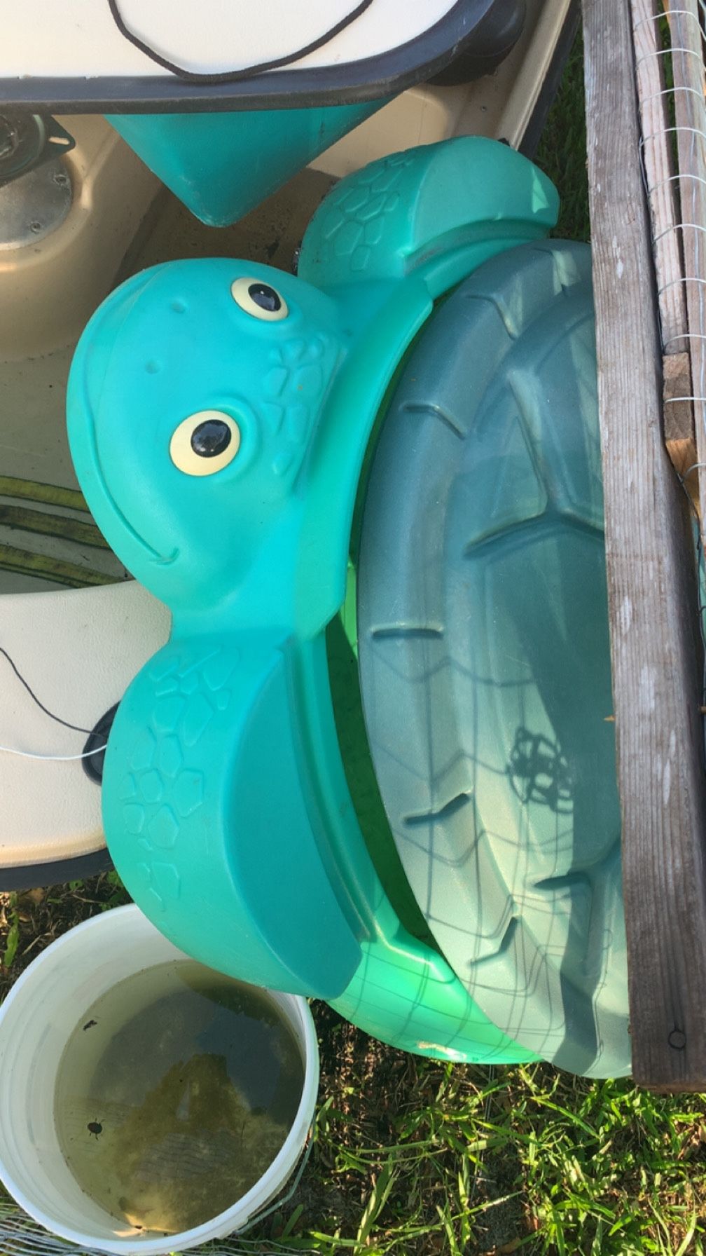Green turtle sandbox