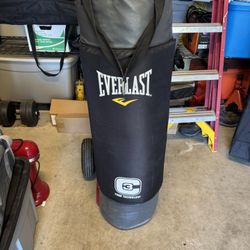 Punching Bag