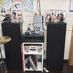 2 Speakers and Surround Receiver
