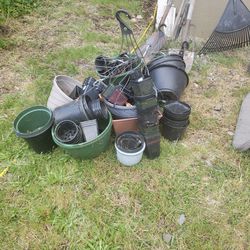 Free! Nursery Pots And Empty Hanging Baskets 