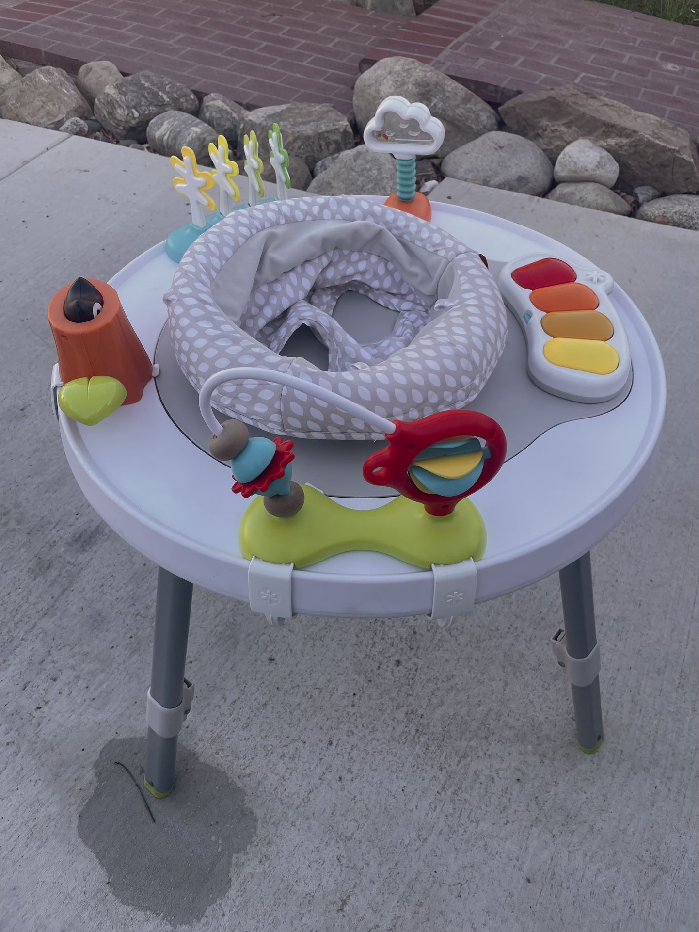 Skip Hop Baby Activity Center