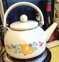 Corelle ABUNDANCE enamelware metal teapot excellent condition !